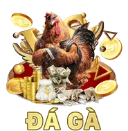 Câu hỏi thường gặp bc1 nhà cái